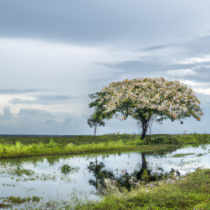 Discover Serenity: Rejuvenate Your Mind and Body with Nature Retreats